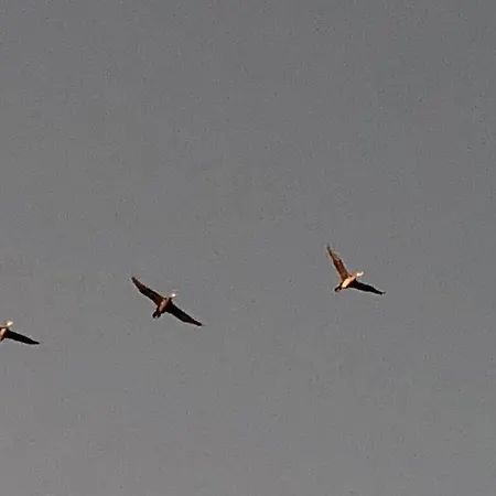 Katis Nest Comfortable 펜션 비에크