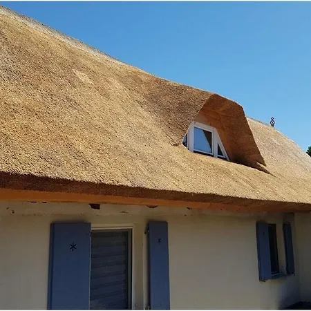 Katis Nest Comfortable *