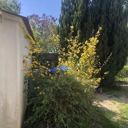 Katis Nest Comfortable 펜션 *