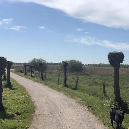 Katis Nest Comfortable 비에크