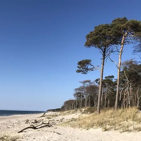 Katis Nest Comfortable 펜션 *