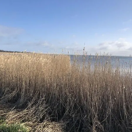 Katis Nest Comfortable 비에크