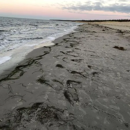 Katis Nest Comfortable