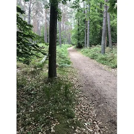 Katis Nest Comfortable 비에크